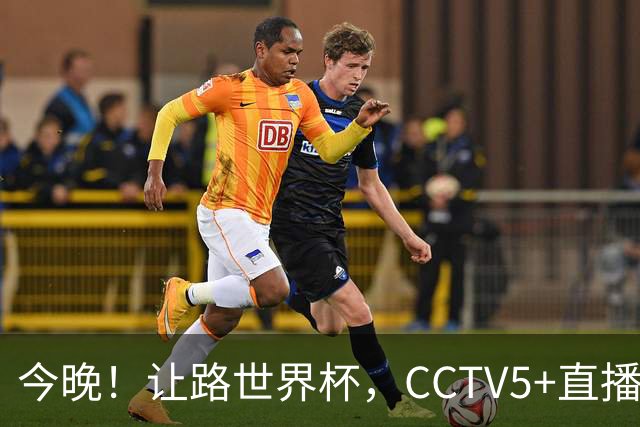 今晚！让路世界杯，CCTV5+直播中国女排VS法国，小将领衔冲击5连胜