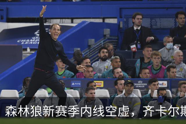 森林狼新赛季内线空虚，齐卡尔斯基需要抓住机会